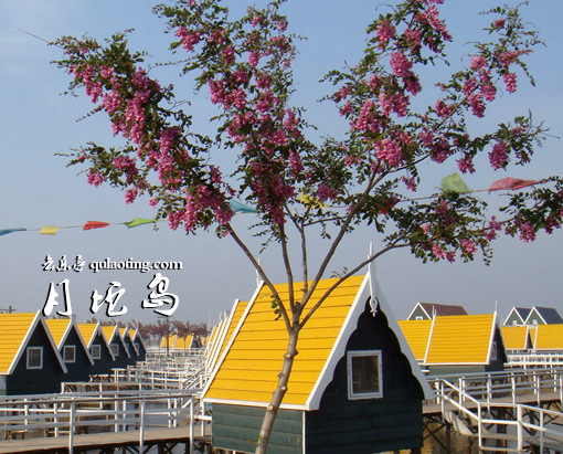 <font color='#FF0000'>菩提岛+月坨岛两日游线路</font>