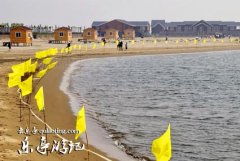 我与金沙岛结缘