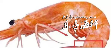 乐亭旅游、乐亭海鲜、乐事旅行社、www.qulaoting.com