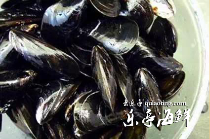 乐亭旅游、乐亭海鲜、乐事旅行社、www.qulaoting.com