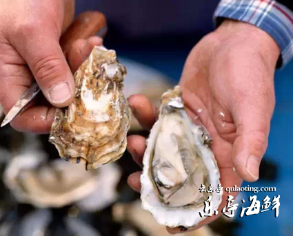 乐亭旅游、乐亭海鲜、乐事旅行社、www.qulaoting.com