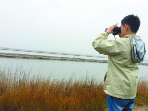 乐亭旅游、乐亭观鸟、www.qulaoting.com
