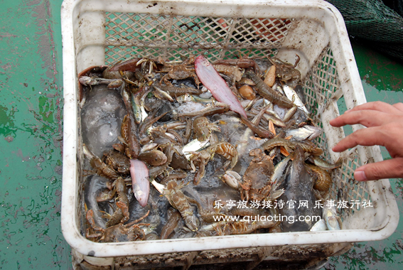 出海捕鱼 乐亭旅游 www.qulaoting.com