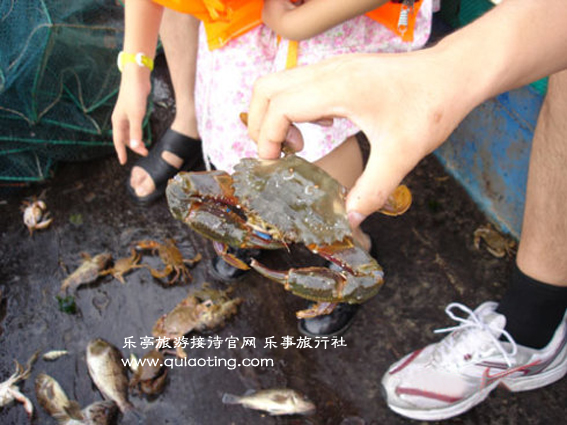 出海捕鱼 乐亭旅游 www.qulaoting.com