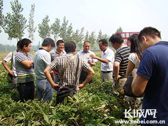 月坨岛 乐亭旅游接待官网 www.qulaoting.com