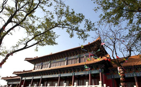 菩提岛 乐亭旅游 乐事旅行社 www.qulaoting.com