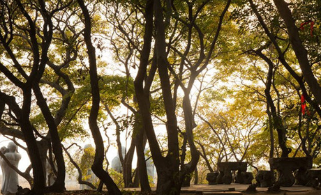菩提岛 乐亭旅游 乐事旅行社 www.qulaoting.com