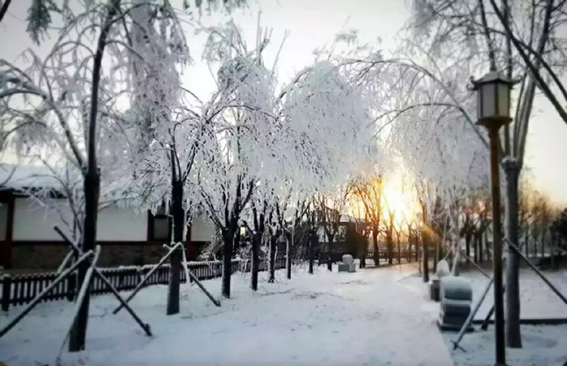 菩提雪乡 冬季旅游 乐亭旅游 www.qulaoting.com