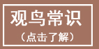 乐亭旅游 菩提岛观鸟 www.qulaoting.com