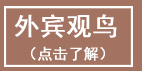 乐亭旅游 菩提岛观鸟 www.qulaoting.com