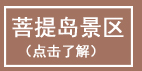 乐亭旅游 菩提岛 观鸟