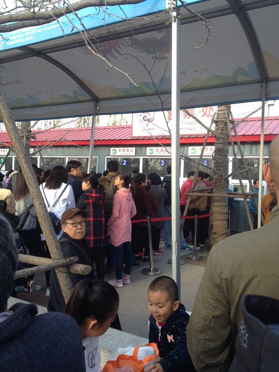 唐山世园会 乐亭旅游 www.qulaoting.com